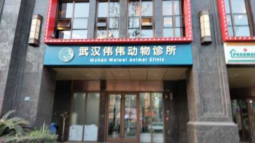 武汉伟伟动物诊所