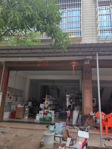 定安定城万兴农资店