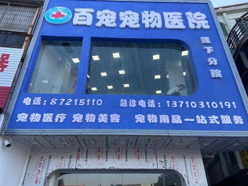 百宠宠物医院(莲下分院)