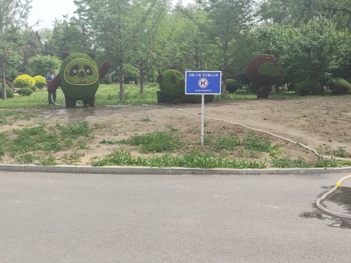 劳动公园(卫工南街)-花海