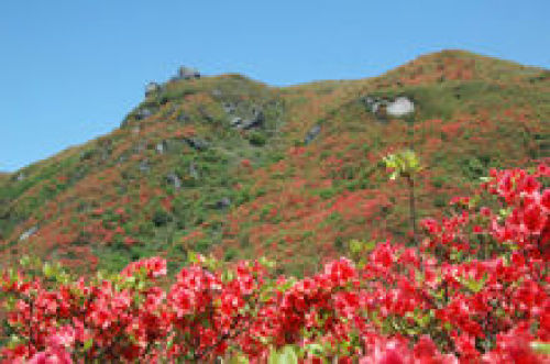 大围山国家森林公园