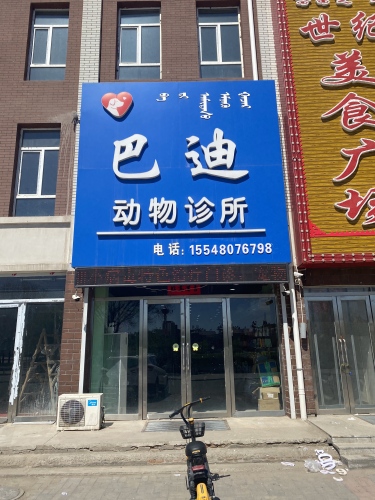 巴迪动物诊所