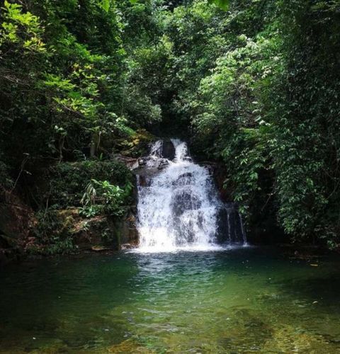 鼎湖山牌坊