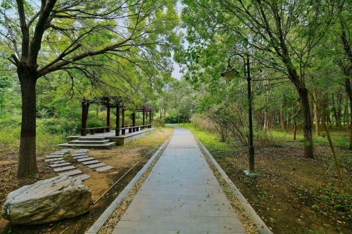 黄家郊野公园