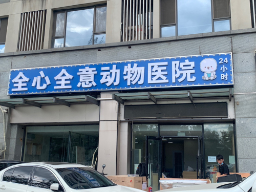 全心全意动物医院常营店24小时犬猫分诊