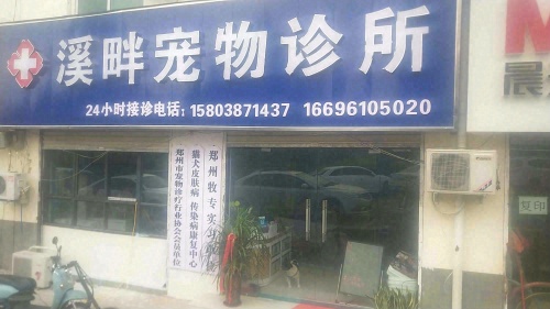 溪畔宠物诊所