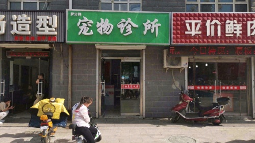 罗云锋宠物诊所