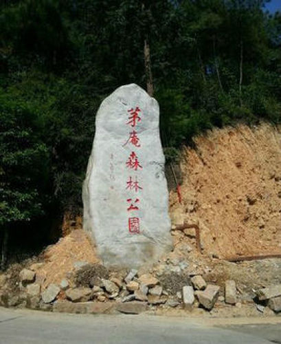 茅庵森林公园