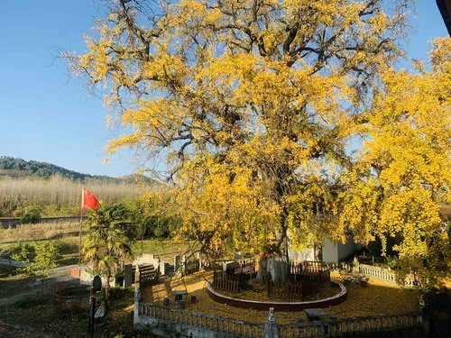 天台禅寺