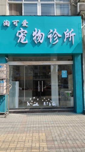 淘可爱宠物诊所