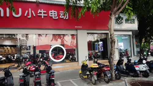 小牛电动(胜利路)