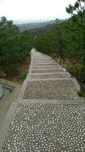 五龙登山步道