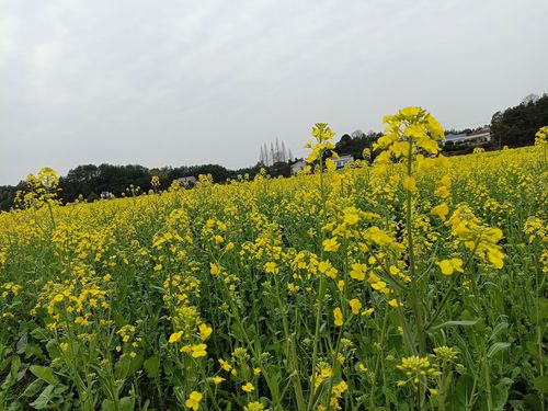 长沙县五福村金银坝