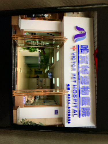 唯克特宠物医院