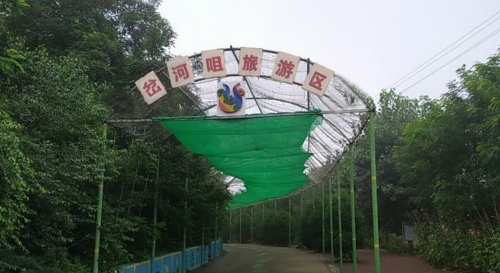 岔河咀湿地公园