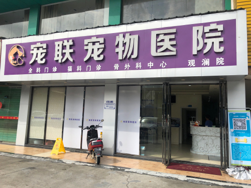 宠联宠物医院观澜院(猫专科骨专科)