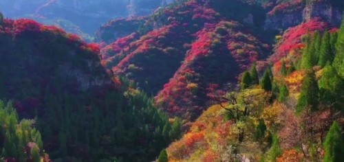 生态谷景区