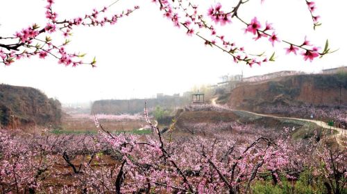 泰安市肥城市旅行攻略