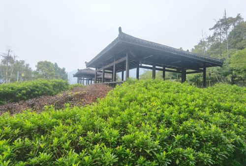 龙山公园