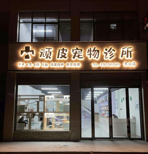 顽皮宠物诊所