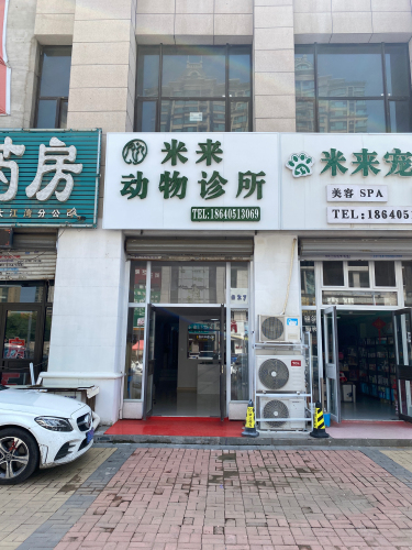 米来动物诊所