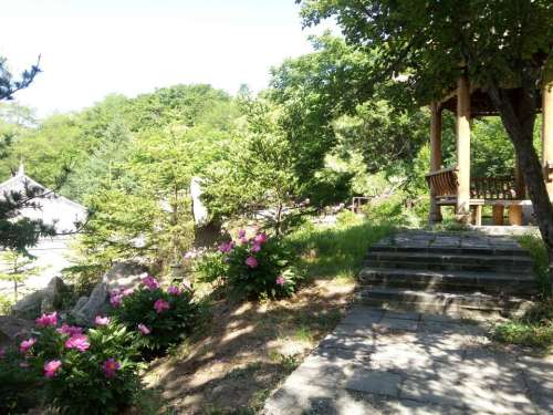 龙泉湖旅游度假风景区 3