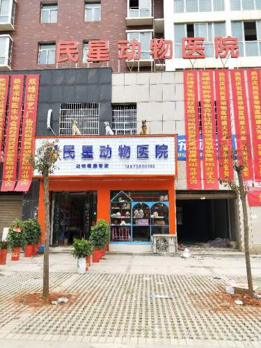 民星动物医院