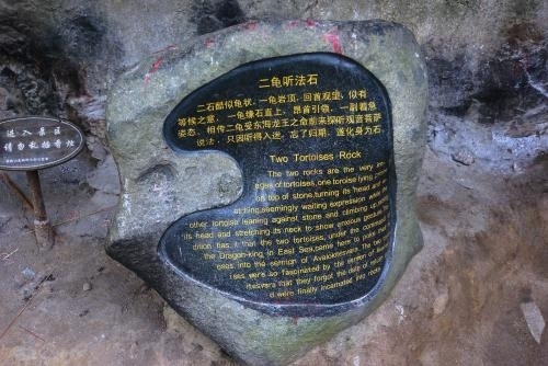 普陀山风景名胜区二龟听法石