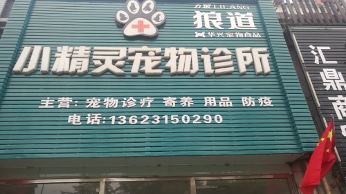 小精灵宠物诊所(惠泉大街)