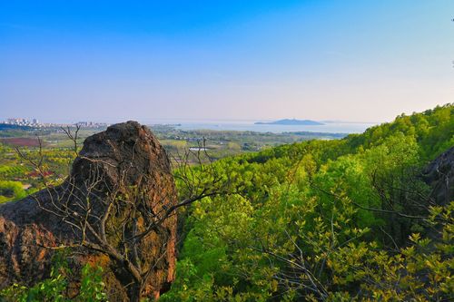 四顶山森林公园