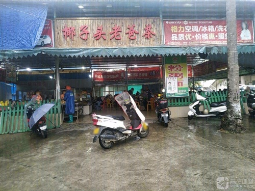 椰子头老爸茶