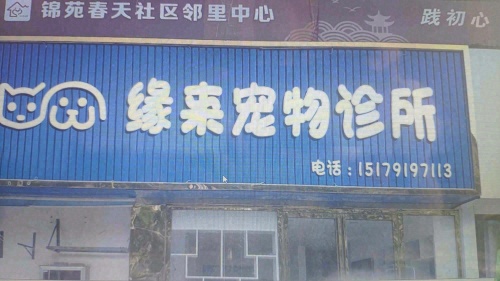 缘来宠物诊所