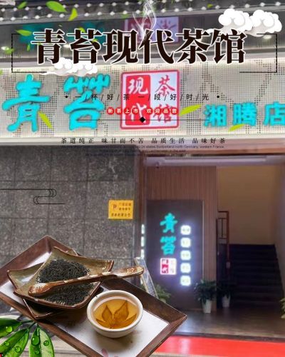 青苔现代茶馆(湘腾城市广场店)
