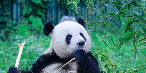 春季
