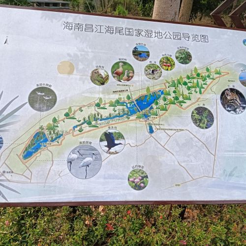 昌江海尾湿地公园(暂停开放)