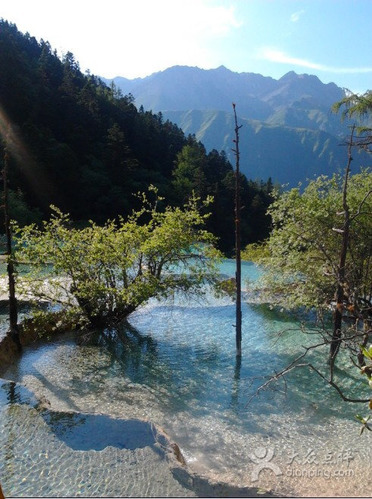 湖北海旅百事通国际旅行社(南京路店)