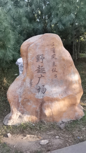 野趣广场