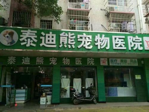 泰迪熊宠物诊所