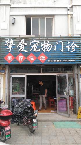挚爱宠物门诊(云峡街店)