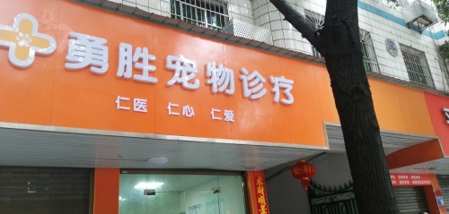 勇胜宠物诊疗(24小时接诊)