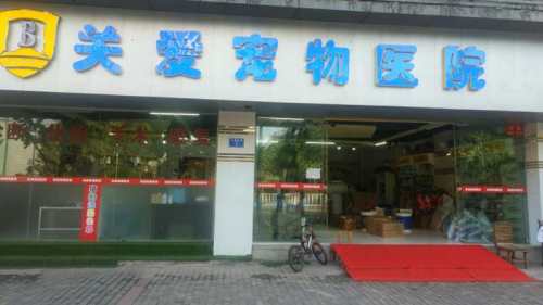 关爱宠物医院
