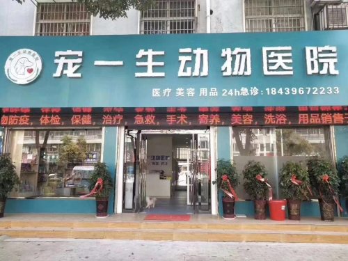 宠一生宠物医院