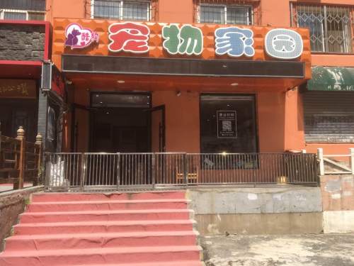 酷狗宠物家园