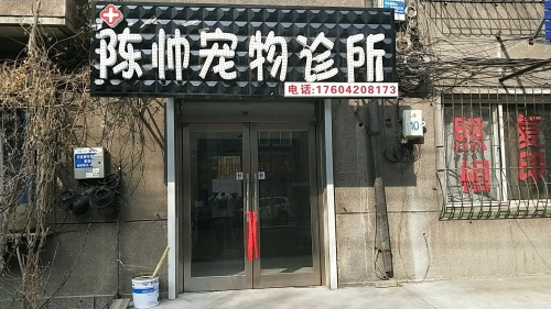 陈帅宠物诊所