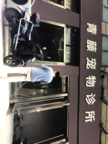 青藤宠物诊所