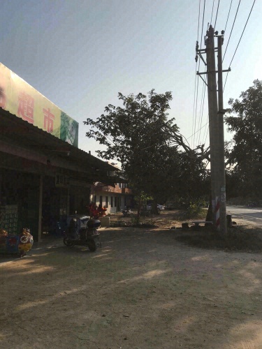 骉骉鸿超市
