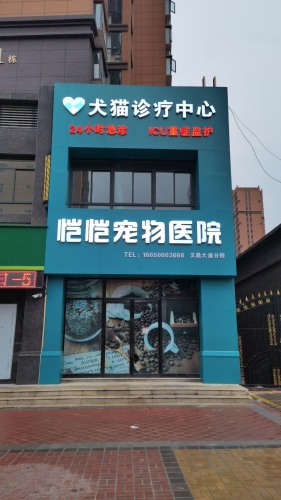 恺恺宠物医院(文昌大道分院)