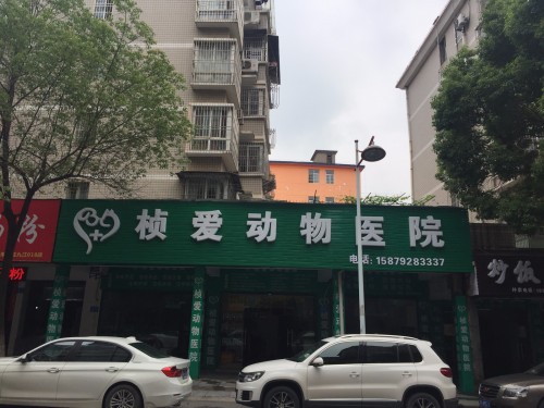 桢爱动物医院(九江总店)