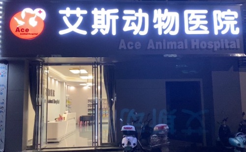 艾斯动物医院