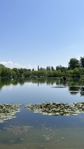 后滩湿地公园